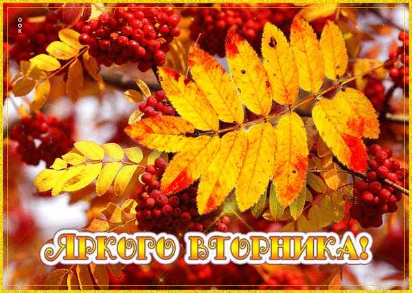 Анимированная открытка со вторником