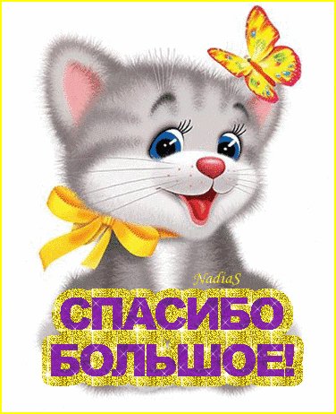 IMG 20170123 005046 0