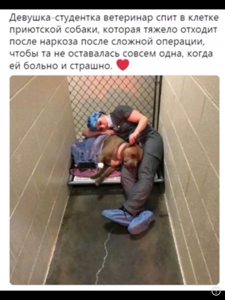 FB IMG 16782467832387947