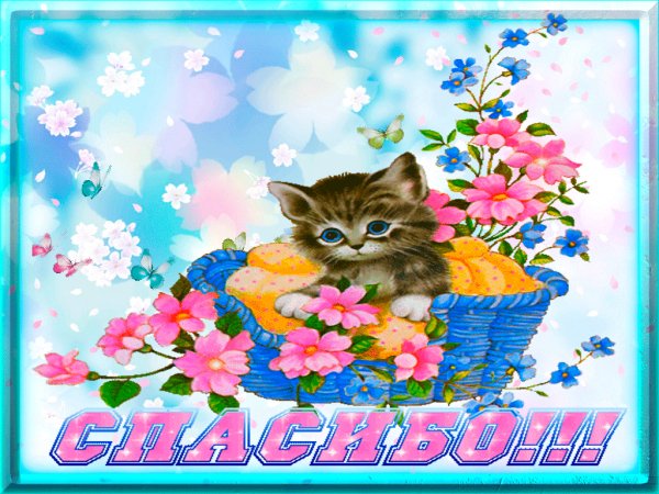 IMG 20160107 180012 0