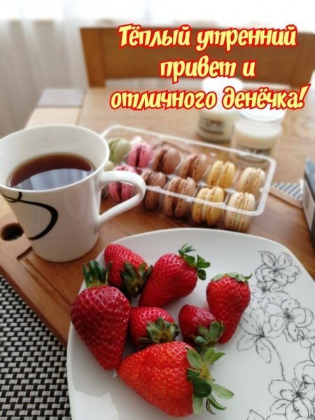 IMG 20230715 083144 576