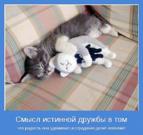 Смысл истинной дружбы...
