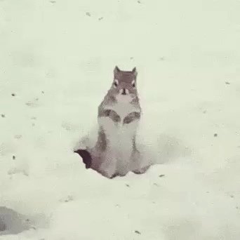 когда ждёшь автобус а на улице холодно