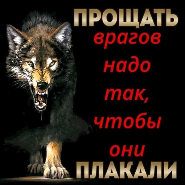 FB IMG 16375335899516616