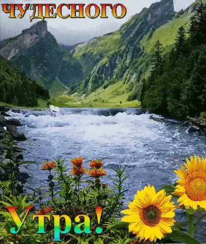 Анимированная открытка чудесного утра