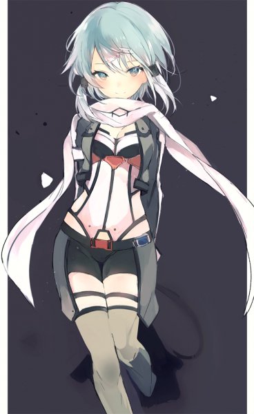 Sword Art Online - Sinon (9)