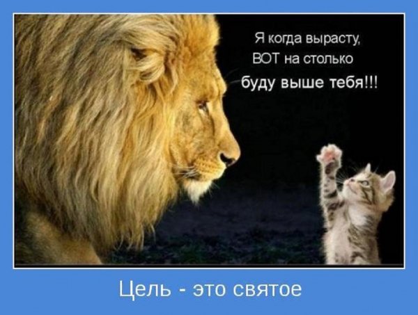 Цель это святое