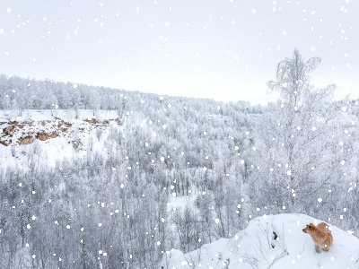 Pixiz-14-02-2024-01-54-07