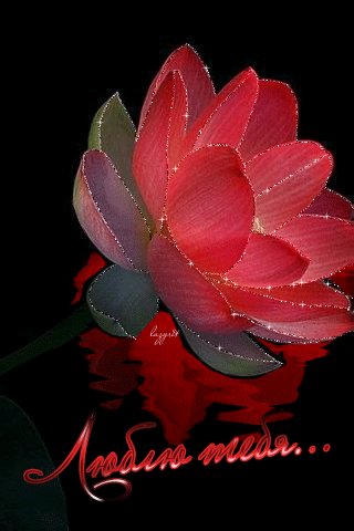 d2368a9afa0f9b2e94e1be0c8eda