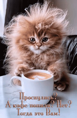 Анимированная открытка проснулись а