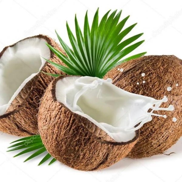 Coconuts