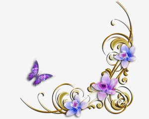 d177470764298e33d651cbdca5