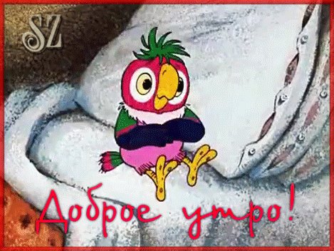 Доброе утро