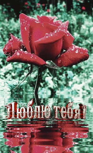 Люблю тeбя
