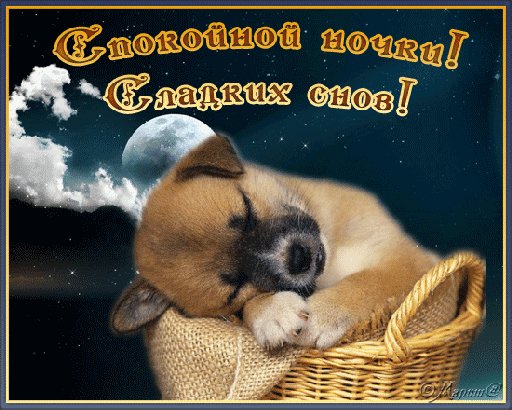 Анимированная открытка спокойной ночки (1)