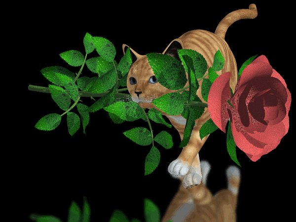КОТЯ НЕСЁТ ЦВЕТОК ТЕБЕ