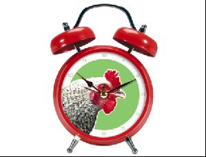 Пол Жизни спишь-Вставай на Работу