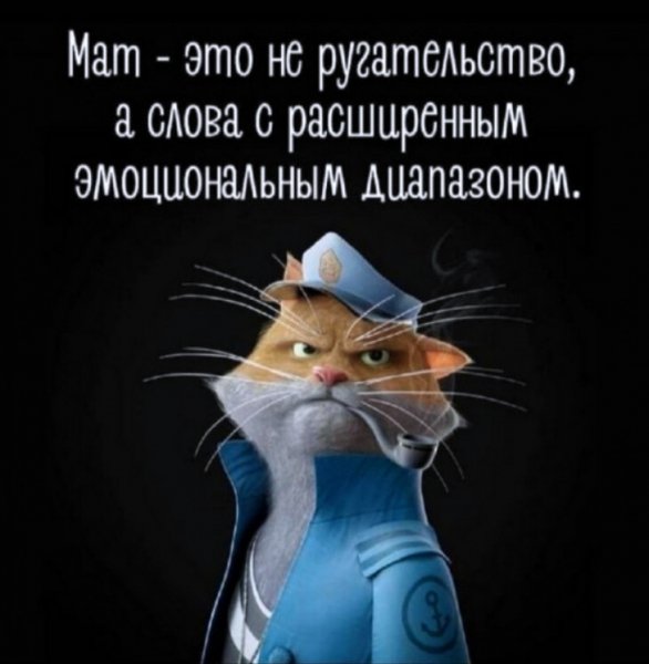 что такое мат