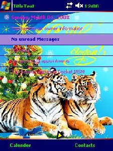 С новым годом