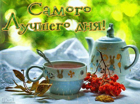 Doc338508794 569961086