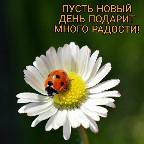 IMG-b4453ab95c33977e940d905c0adc599e-V