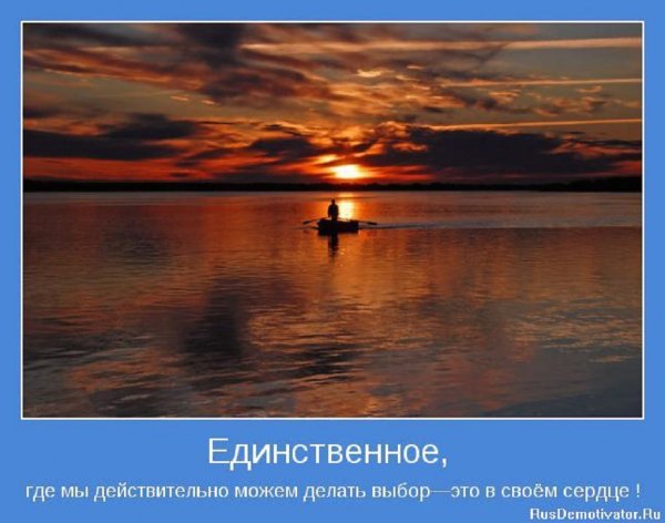 Где мы можем делать выбор