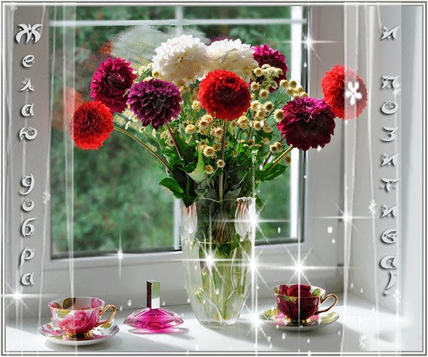 Анимированная открытка желаю добра и