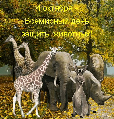 Анимированная открытка 4 октября всемирный