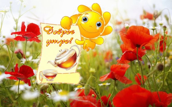 0 14186a 8f6e432f XXL