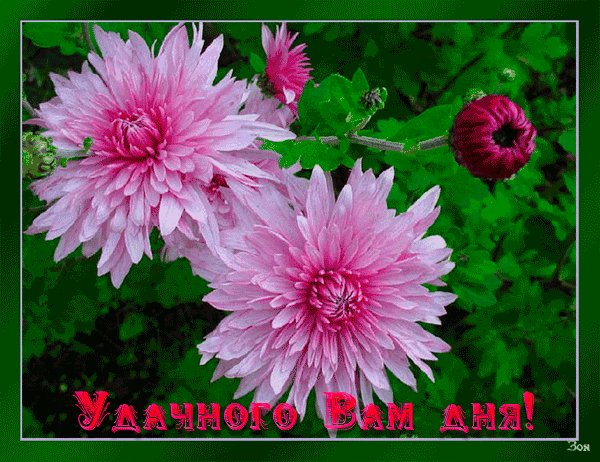 Анимированная открытка удачного вам