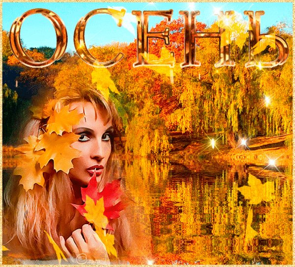 Анимированная открытка осень листья