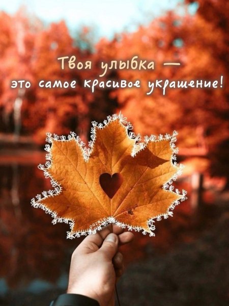 IMG-1857ce25e136e5f9639f4a0c472b4a44-V