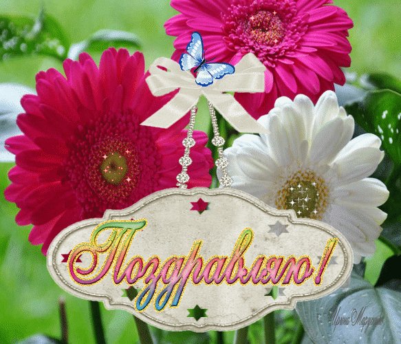 Анимированная открытка поздравляю