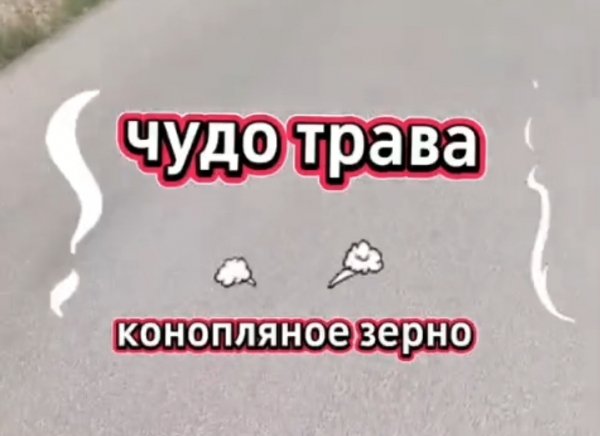 Чудо трава-mc