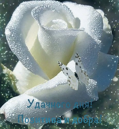 Анимированная открытка удачного дня