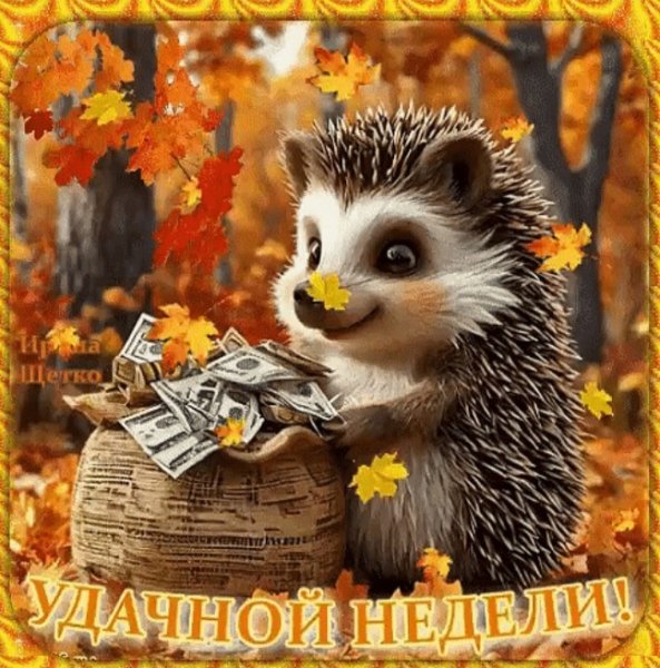 Screenshot20241105 211316