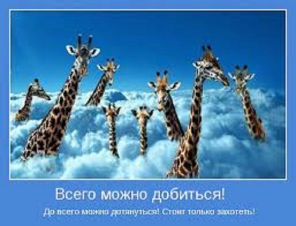 Всего можно добиться. До всего можно дотянуться.