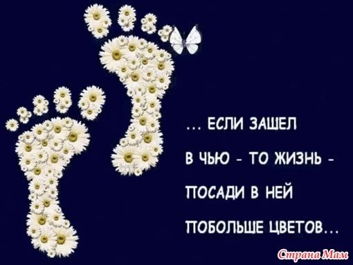 2a4e19d9-d07a-431e-93b8-bb2116716a74