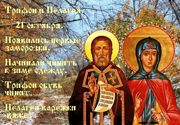 Анимированная открытка 21 октября трифон