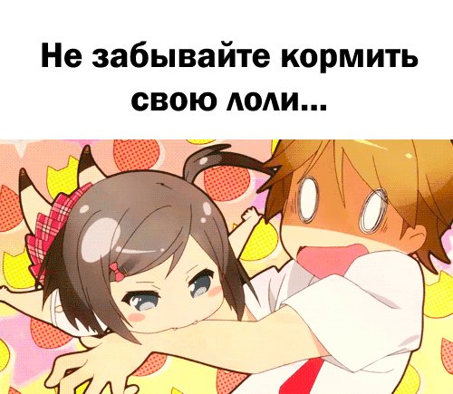 Tsukiko Tsutsukakushi, Youto Yokodera