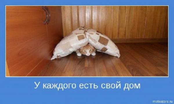 У каждого есть свой дом