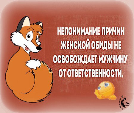 deco ответственность 0