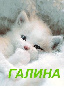 Галина!!!
