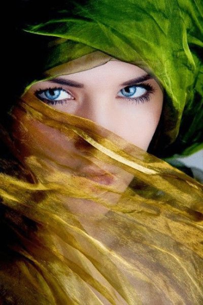 GIF-7c91a806a97cbf809bf7381facf699dc