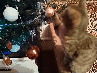 cameringo 20190106 195002