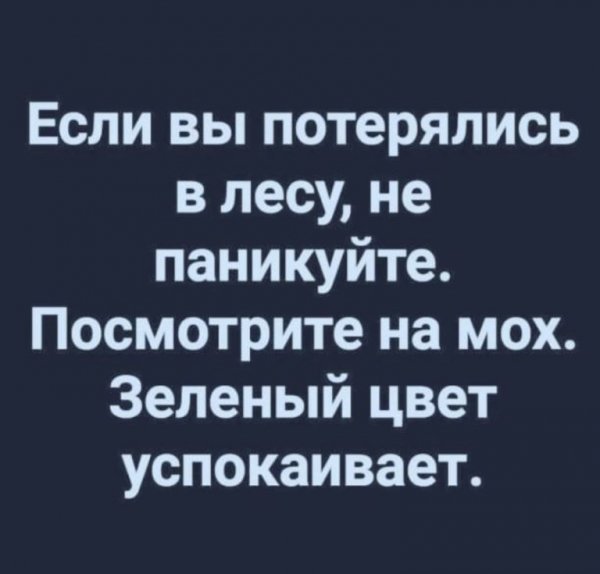 06-26-mixnews-img-9401-768x735