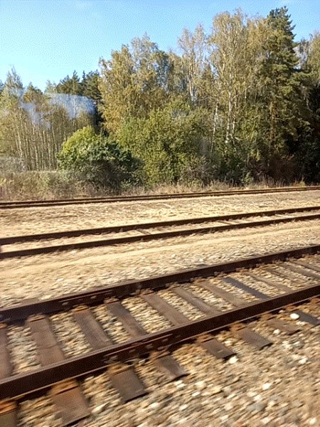 Едем-едем в близкие края