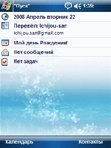 blue butterflies qvga