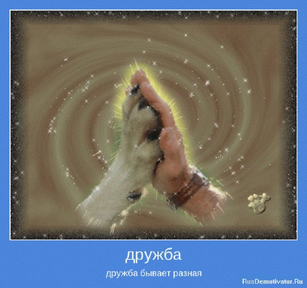 Дружба