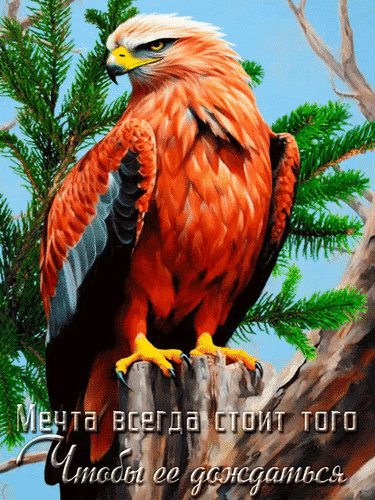 Анимированная открытка мечта всегда (1)